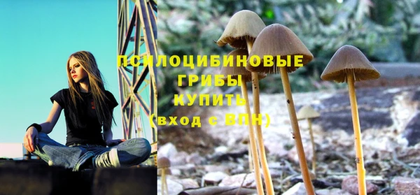 амф Балабаново